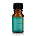 GOTAS SPANISH FLY LOVE POTION 10ML GOTAS SPANISH FLY LOVE POTION 10ML