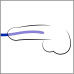 CONJUNTO DE DILATADORES DE URETRA BLUE