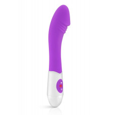 VIBRADOR EM SILICONE LOVE VIBES AELA ROXO